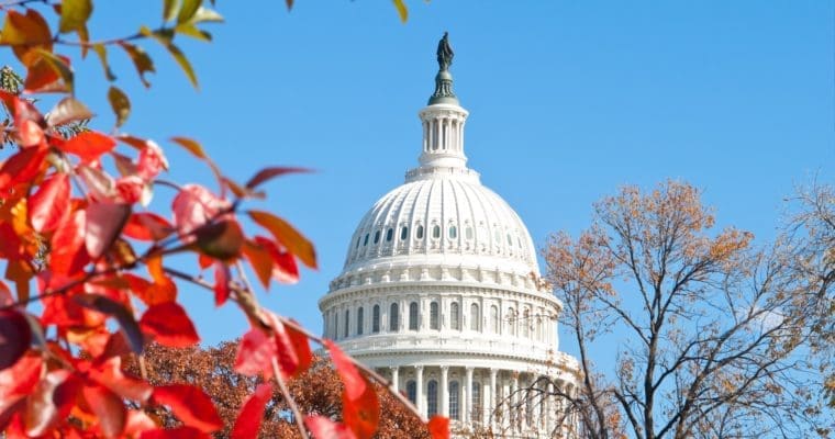 Excitement and Preparation for the SSEA 2017 Conference in Washington, D.C.